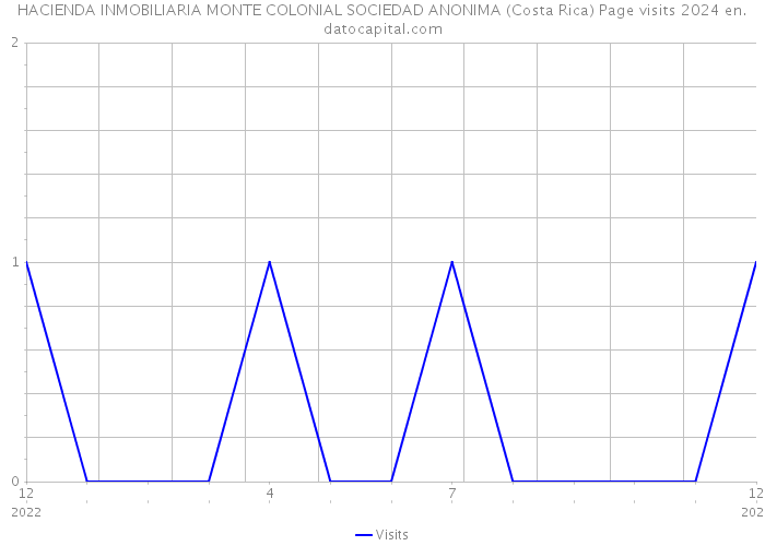 HACIENDA INMOBILIARIA MONTE COLONIAL SOCIEDAD ANONIMA (Costa Rica) Page visits 2024 