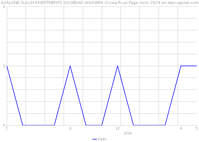 AVALONE GULCH INVESTMENTS SOCIEDAD ANONIMA (Costa Rica) Page visits 2024 