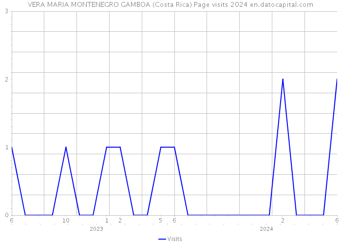 VERA MARIA MONTENEGRO GAMBOA (Costa Rica) Page visits 2024 