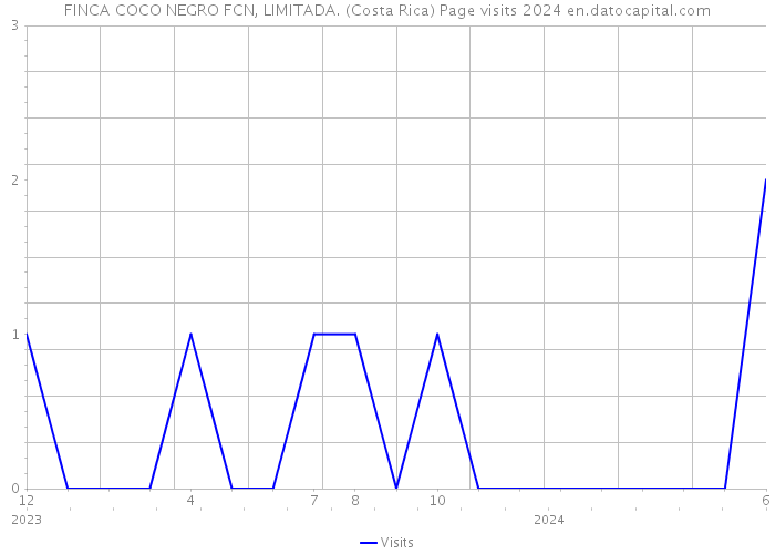 FINCA COCO NEGRO FCN, LIMITADA. (Costa Rica) Page visits 2024 