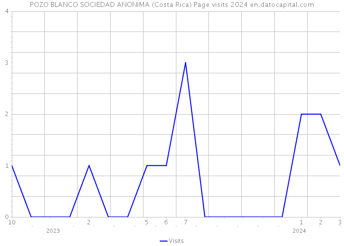 POZO BLANCO SOCIEDAD ANONIMA (Costa Rica) Page visits 2024 