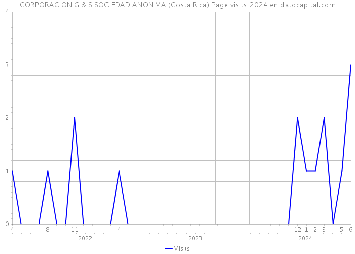 CORPORACION G & S SOCIEDAD ANONIMA (Costa Rica) Page visits 2024 