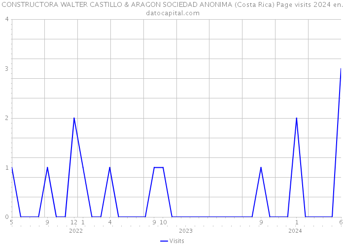 CONSTRUCTORA WALTER CASTILLO & ARAGON SOCIEDAD ANONIMA (Costa Rica) Page visits 2024 
