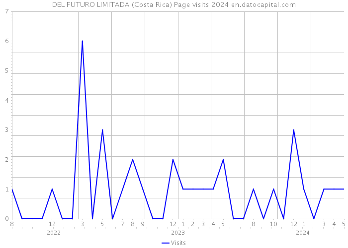 DEL FUTURO LIMITADA (Costa Rica) Page visits 2024 