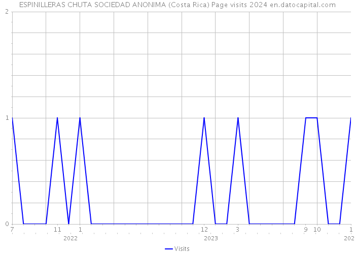 ESPINILLERAS CHUTA SOCIEDAD ANONIMA (Costa Rica) Page visits 2024 