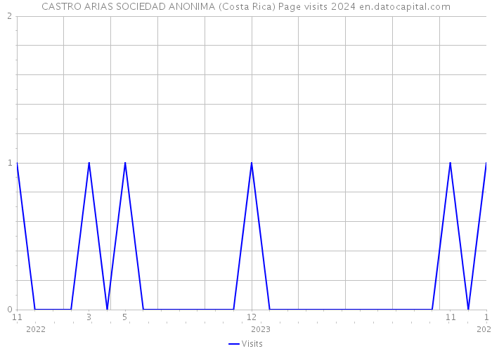 CASTRO ARIAS SOCIEDAD ANONIMA (Costa Rica) Page visits 2024 