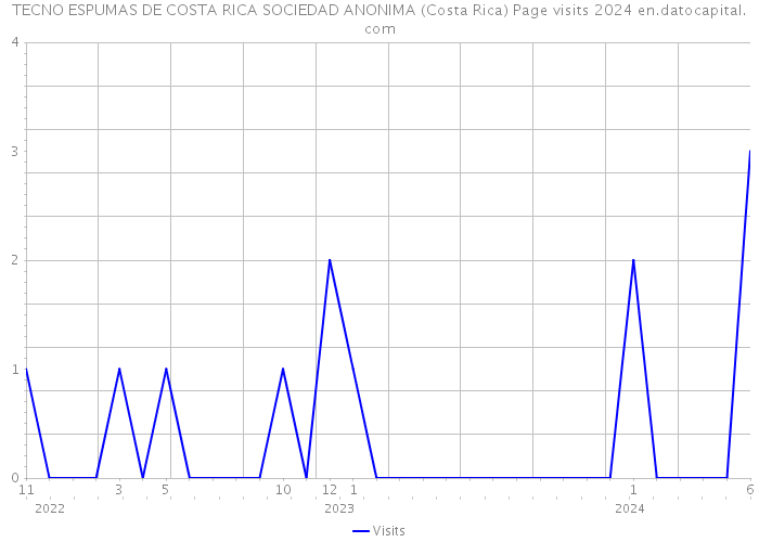 TECNO ESPUMAS DE COSTA RICA SOCIEDAD ANONIMA (Costa Rica) Page visits 2024 