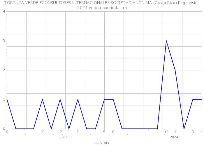 TORTUGA VERDE ECONSULTORES INTERNACIONALES SOCIEDAD ANONIMA (Costa Rica) Page visits 2024 