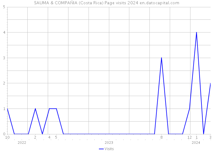 SAUMA & COMPAŃIA (Costa Rica) Page visits 2024 