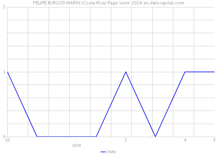 FELIPE BURGOS MARIN (Costa Rica) Page visits 2024 