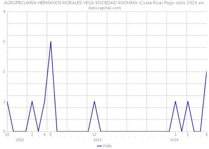 AGROPECUARIA HERMANOS MORALES VEGA SOCIEDAD ANONIMA (Costa Rica) Page visits 2024 