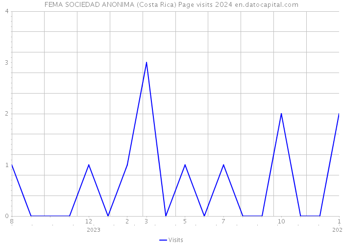 FEMA SOCIEDAD ANONIMA (Costa Rica) Page visits 2024 