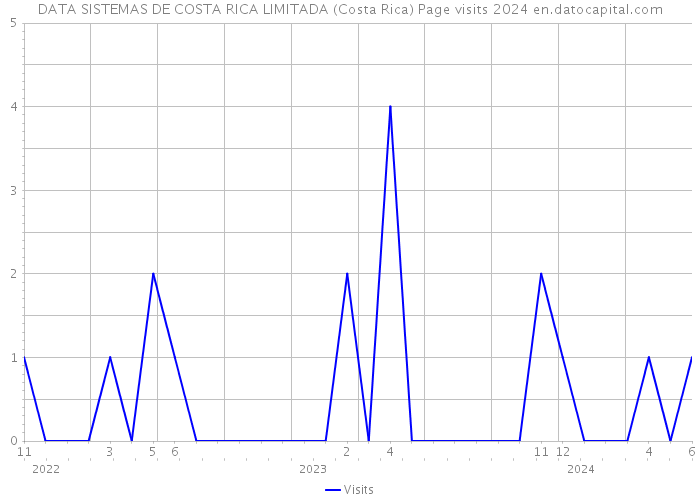 DATA SISTEMAS DE COSTA RICA LIMITADA (Costa Rica) Page visits 2024 