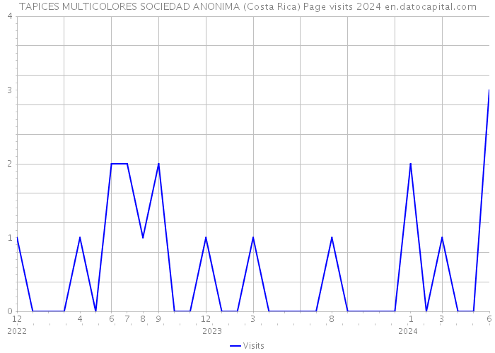TAPICES MULTICOLORES SOCIEDAD ANONIMA (Costa Rica) Page visits 2024 