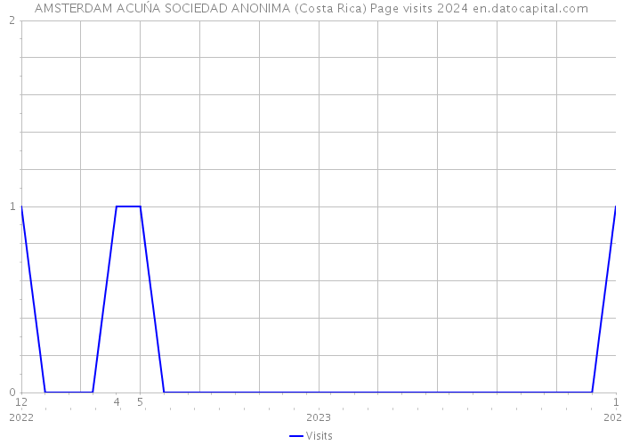 AMSTERDAM ACUŃA SOCIEDAD ANONIMA (Costa Rica) Page visits 2024 