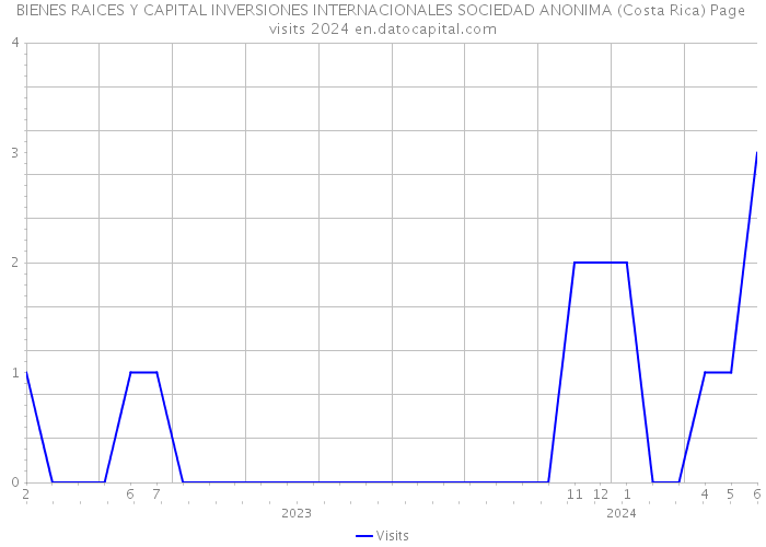 BIENES RAICES Y CAPITAL INVERSIONES INTERNACIONALES SOCIEDAD ANONIMA (Costa Rica) Page visits 2024 