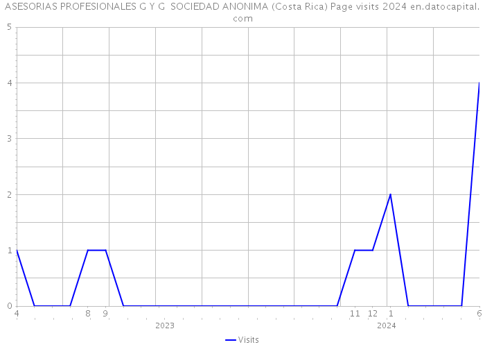 ASESORIAS PROFESIONALES G Y G SOCIEDAD ANONIMA (Costa Rica) Page visits 2024 