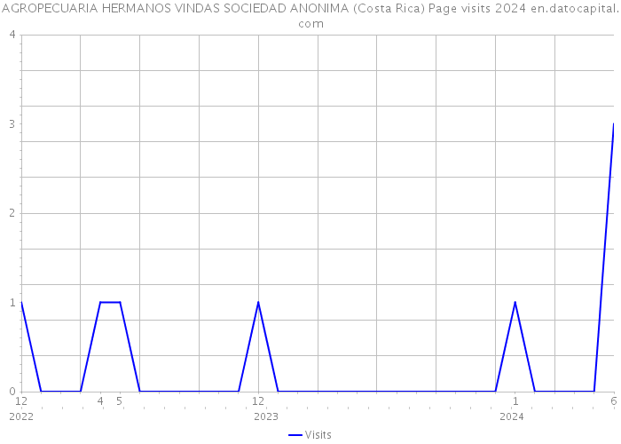 AGROPECUARIA HERMANOS VINDAS SOCIEDAD ANONIMA (Costa Rica) Page visits 2024 