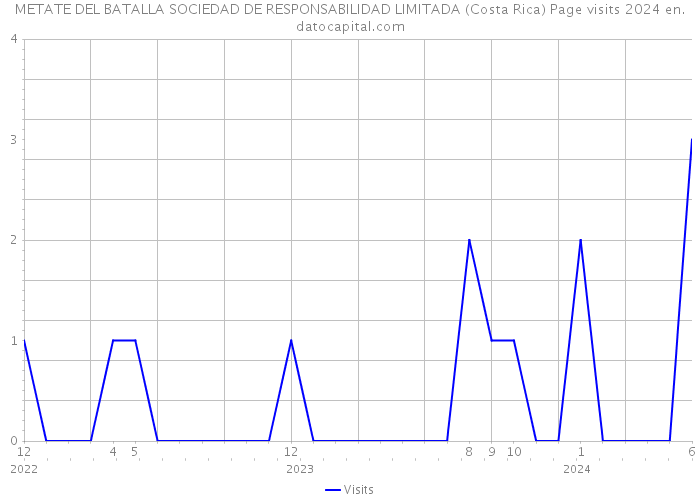 METATE DEL BATALLA SOCIEDAD DE RESPONSABILIDAD LIMITADA (Costa Rica) Page visits 2024 