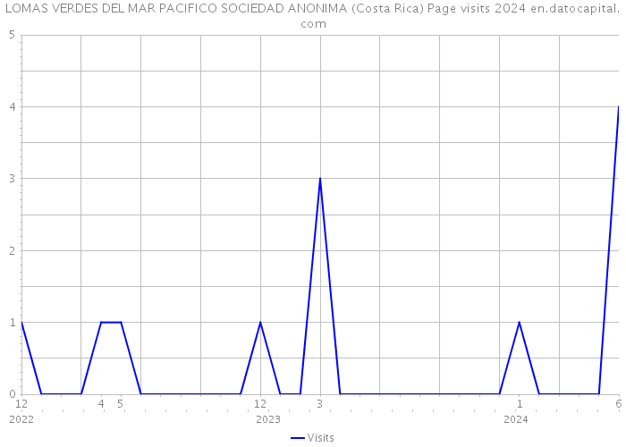 LOMAS VERDES DEL MAR PACIFICO SOCIEDAD ANONIMA (Costa Rica) Page visits 2024 