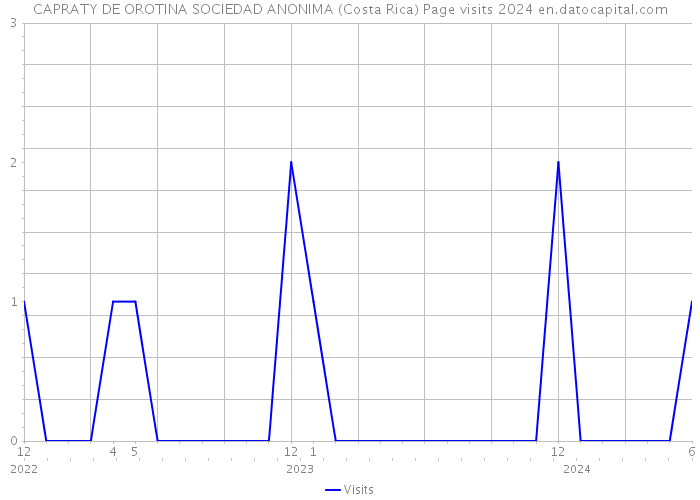 CAPRATY DE OROTINA SOCIEDAD ANONIMA (Costa Rica) Page visits 2024 