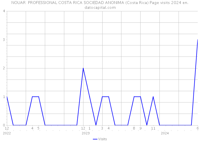 NOUAR PROFESSIONAL COSTA RICA SOCIEDAD ANONIMA (Costa Rica) Page visits 2024 
