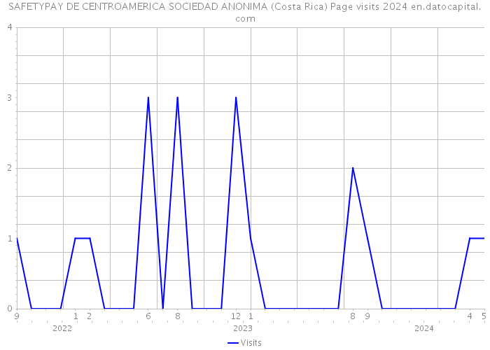 SAFETYPAY DE CENTROAMERICA SOCIEDAD ANONIMA (Costa Rica) Page visits 2024 