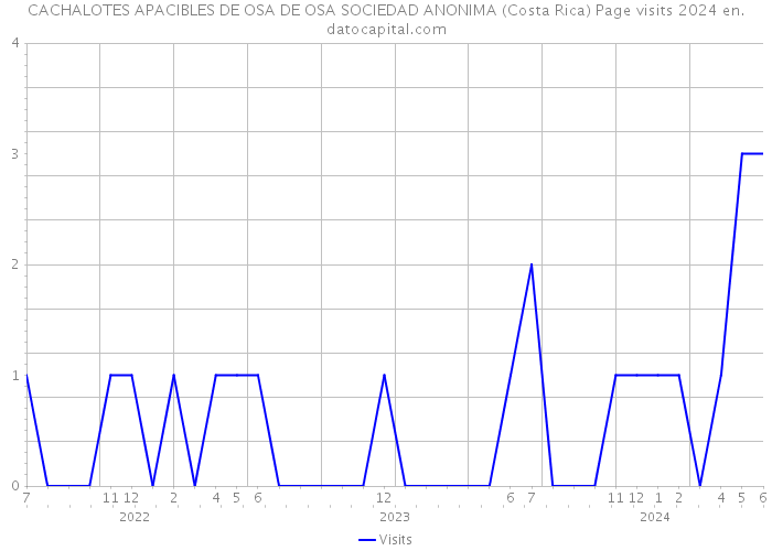 CACHALOTES APACIBLES DE OSA DE OSA SOCIEDAD ANONIMA (Costa Rica) Page visits 2024 