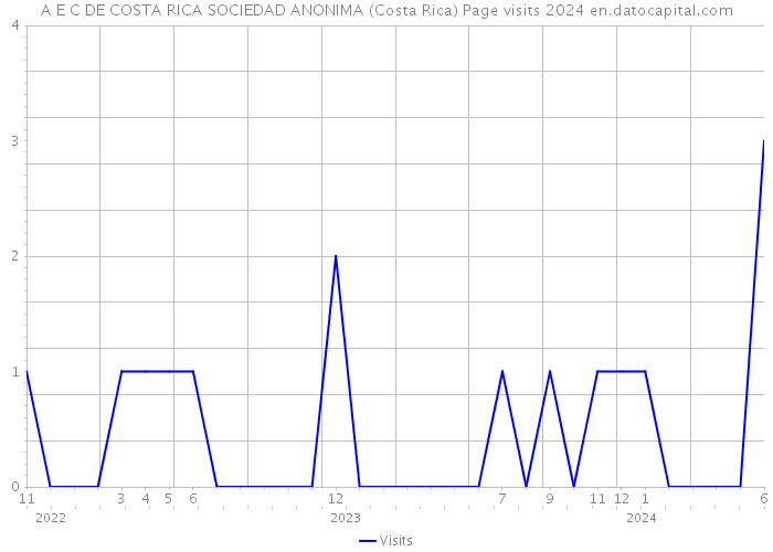 A E C DE COSTA RICA SOCIEDAD ANONIMA (Costa Rica) Page visits 2024 