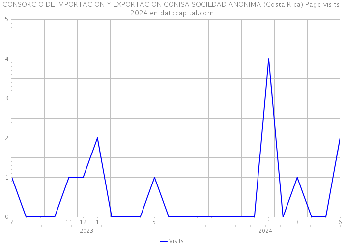 CONSORCIO DE IMPORTACION Y EXPORTACION CONISA SOCIEDAD ANONIMA (Costa Rica) Page visits 2024 