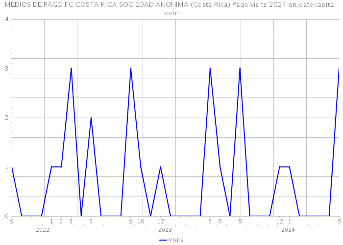 MEDIOS DE PAGO FC COSTA RICA SOCIEDAD ANONIMA (Costa Rica) Page visits 2024 