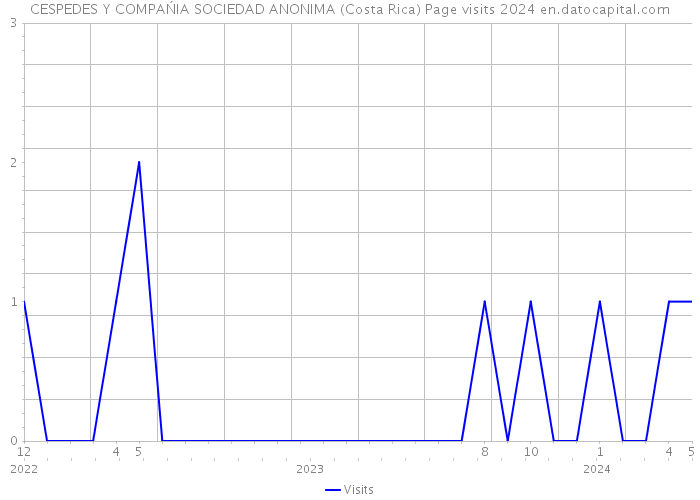 CESPEDES Y COMPAŃIA SOCIEDAD ANONIMA (Costa Rica) Page visits 2024 