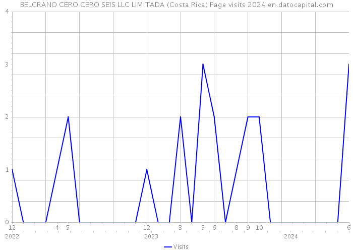 BELGRANO CERO CERO SEIS LLC LIMITADA (Costa Rica) Page visits 2024 