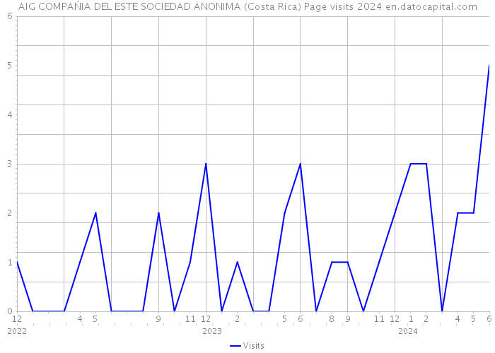 AIG COMPAŃIA DEL ESTE SOCIEDAD ANONIMA (Costa Rica) Page visits 2024 