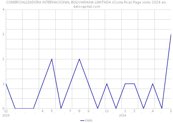 COMERCIALIZADORA INTERNACIONAL BOLIVARIANA LIMITADA (Costa Rica) Page visits 2024 