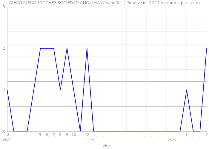 DIEGO DIEGO BROTHER SOCIEDAD ANONIMA (Costa Rica) Page visits 2024 