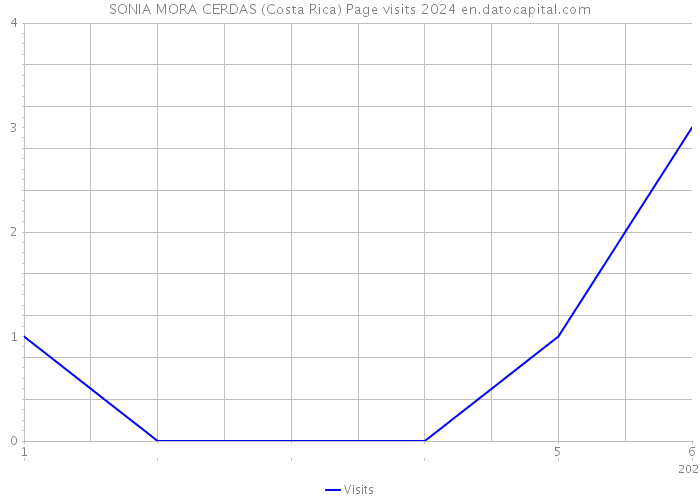 SONIA MORA CERDAS (Costa Rica) Page visits 2024 