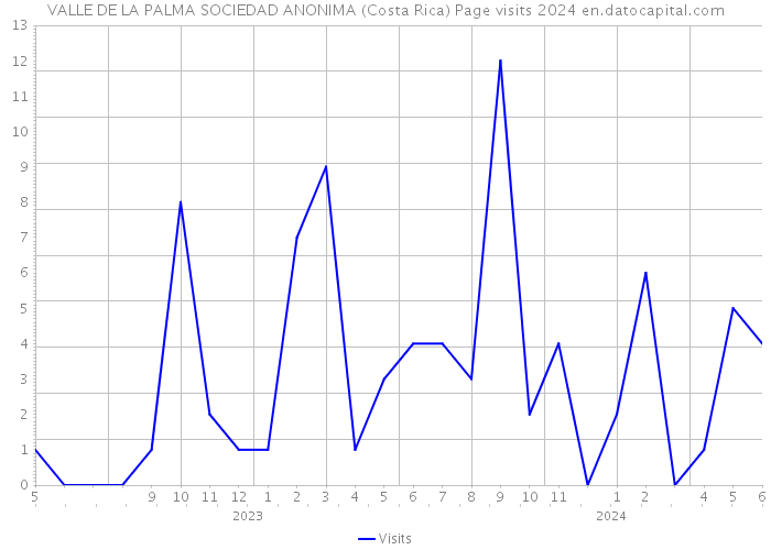 VALLE DE LA PALMA SOCIEDAD ANONIMA (Costa Rica) Page visits 2024 