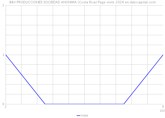 B&V PRODUCCIONES SOCIEDAD ANONIMA (Costa Rica) Page visits 2024 