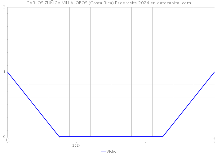 CARLOS ZUÑIGA VILLALOBOS (Costa Rica) Page visits 2024 
