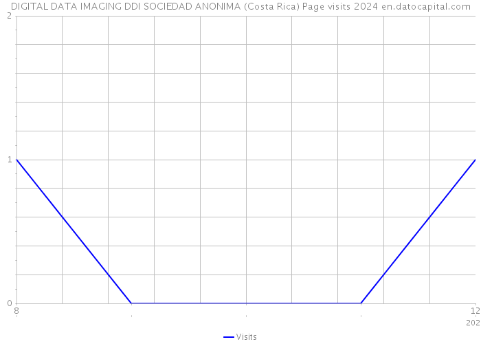 DIGITAL DATA IMAGING DDI SOCIEDAD ANONIMA (Costa Rica) Page visits 2024 