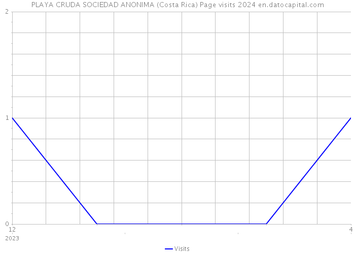 PLAYA CRUDA SOCIEDAD ANONIMA (Costa Rica) Page visits 2024 