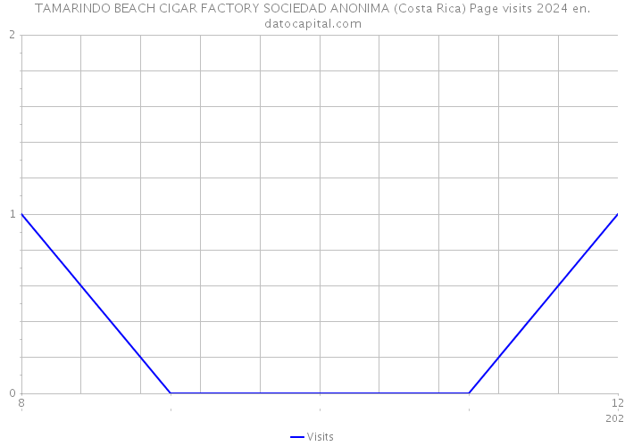 TAMARINDO BEACH CIGAR FACTORY SOCIEDAD ANONIMA (Costa Rica) Page visits 2024 