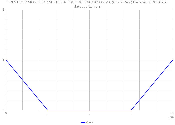 TRES DIMENSIONES CONSULTORIA TDC SOCIEDAD ANONIMA (Costa Rica) Page visits 2024 