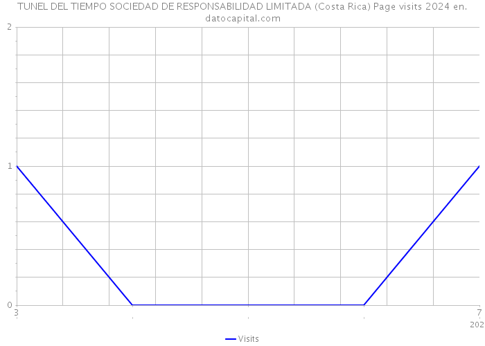 TUNEL DEL TIEMPO SOCIEDAD DE RESPONSABILIDAD LIMITADA (Costa Rica) Page visits 2024 