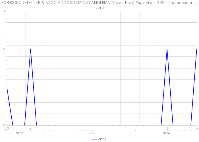CONSORCIO DANKE & ASOCIADOS SOCIEDAD ANONIMA (Costa Rica) Page visits 2024 