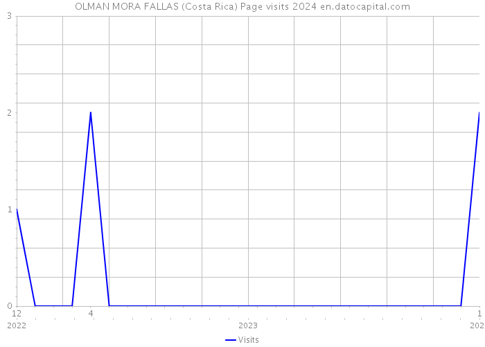 OLMAN MORA FALLAS (Costa Rica) Page visits 2024 