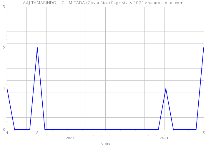 A&J TAMARINDO LLC LIMITADA (Costa Rica) Page visits 2024 