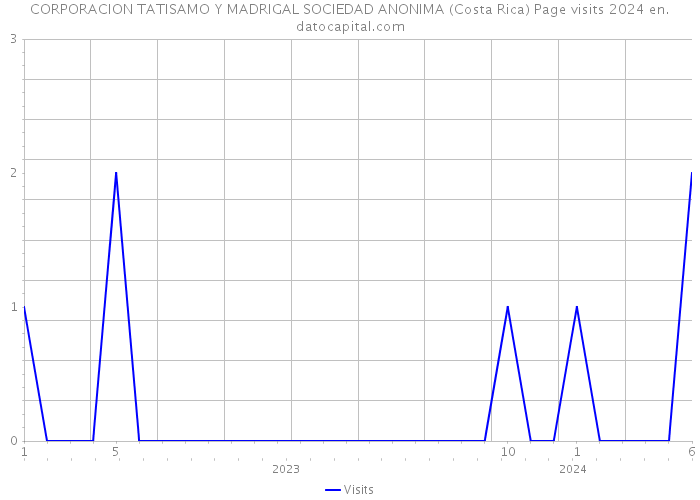 CORPORACION TATISAMO Y MADRIGAL SOCIEDAD ANONIMA (Costa Rica) Page visits 2024 