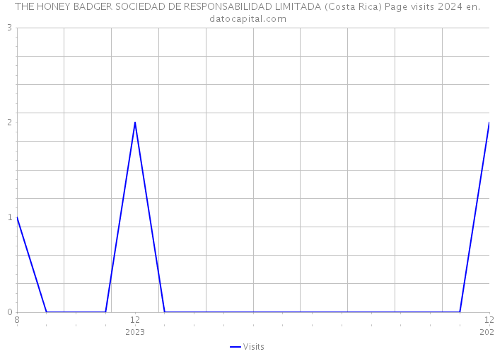 THE HONEY BADGER SOCIEDAD DE RESPONSABILIDAD LIMITADA (Costa Rica) Page visits 2024 